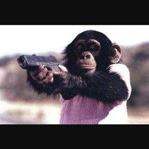 Meet your Posher, Elmono